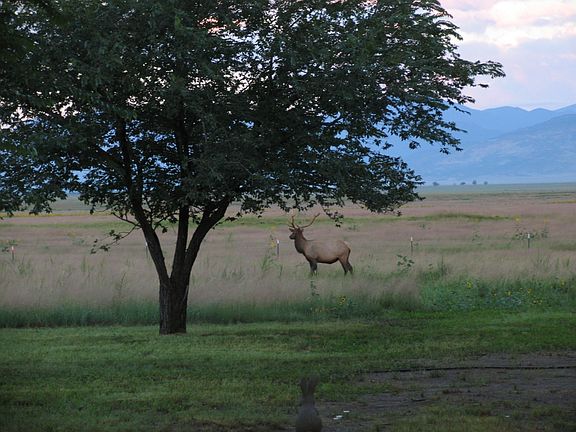 Gorgeous mountain views, abundant wildlife