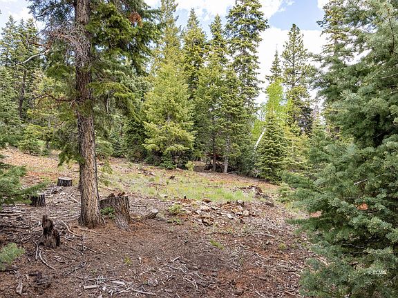 5th image of 985 E Bonanza Rd