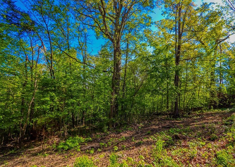 1st image of 4445 Cliffwood Dr Lot 24-25