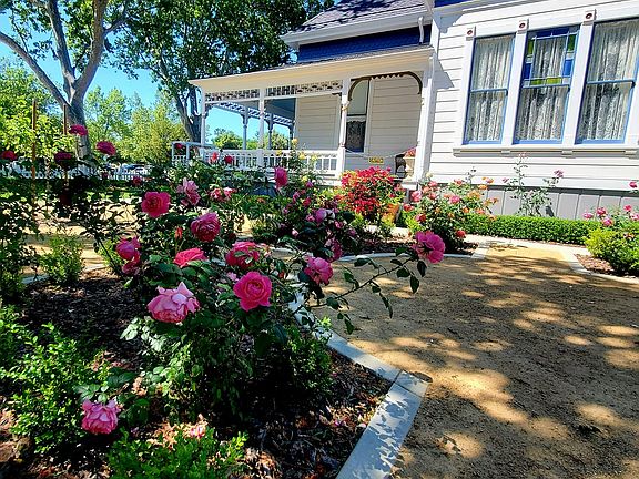 A rose garden to die for