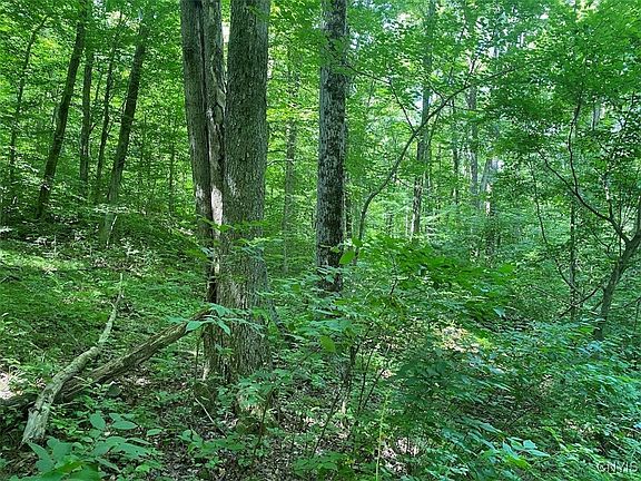 2nd image of State Route 244 Ward
