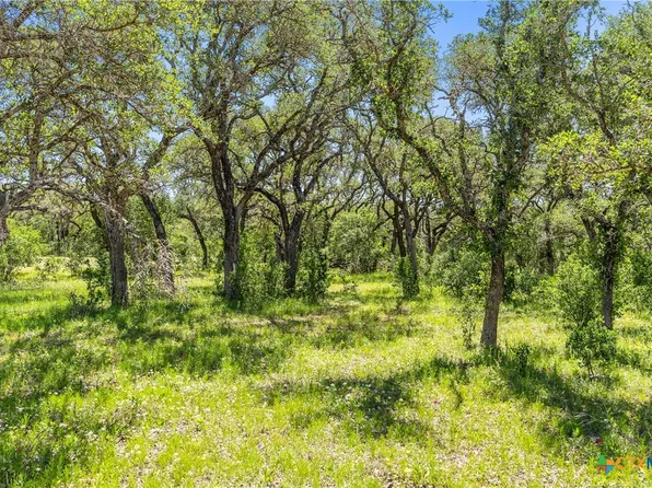 1422 4th St, Johnson City, TX 78636