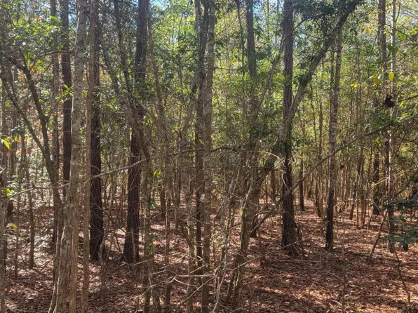 0 George Ii Highway SE, Winnabow, NC 28479