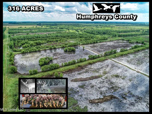 X Catfish Rd, Isola, MS 38754