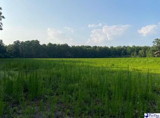 Tbd Timmons Rd, Timmonsville, SC 29161