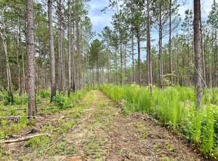 Shannon Dr SW, Bogue Chitto, MS 39629