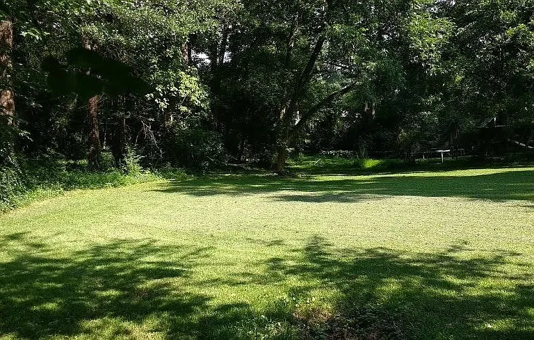 Peaceful backyard
