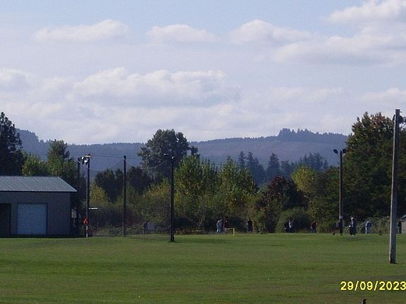 View from the backyard