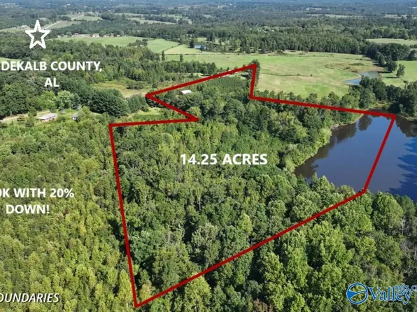 County Road 724, Henagar, AL 35978