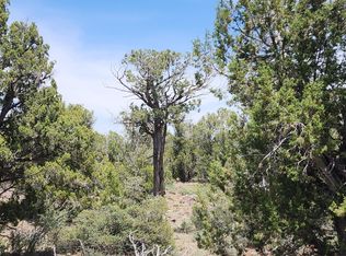 7980B W Ancient Way, Seligman, AZ 86337