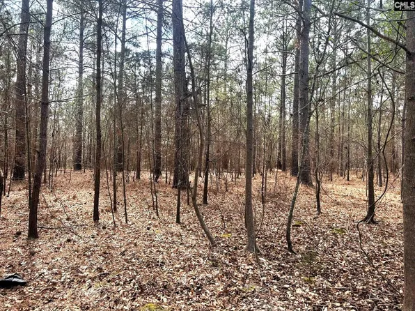 A Old Dutch Rd #A, Little Mountain, SC 29075