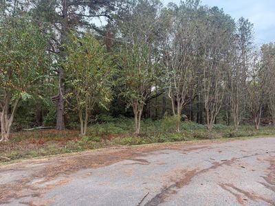 0 Edwards Ave, Johnston, SC, 29832