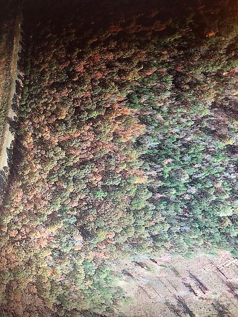 2nd image of 54TH Avenue SW