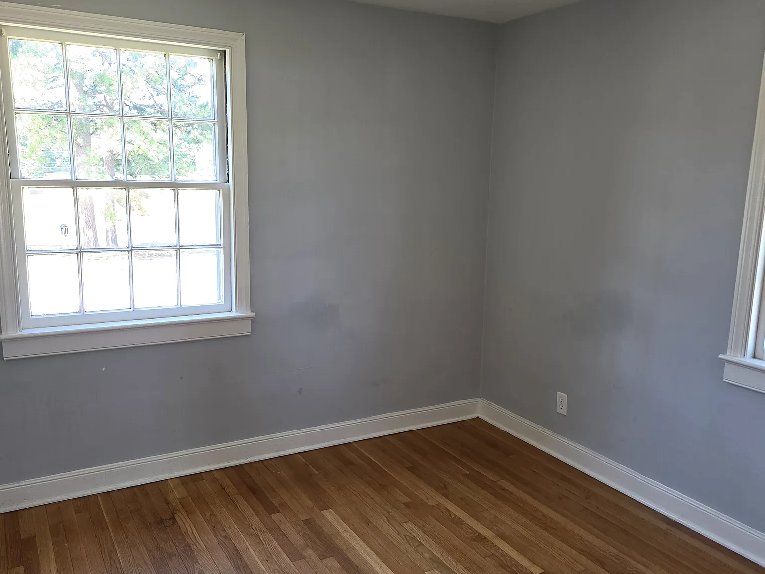 2 bed, 900 sqft, $1,100 — Photo 2