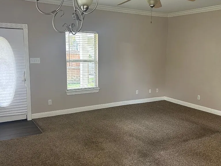 1278 Tropical Cv — Photo 2