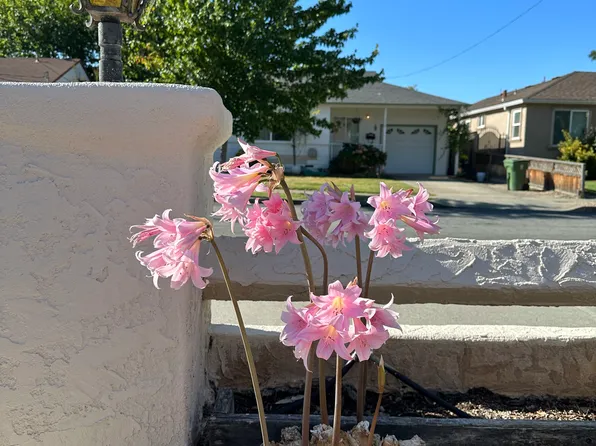 357 Anza St, Fremont, CA 94539