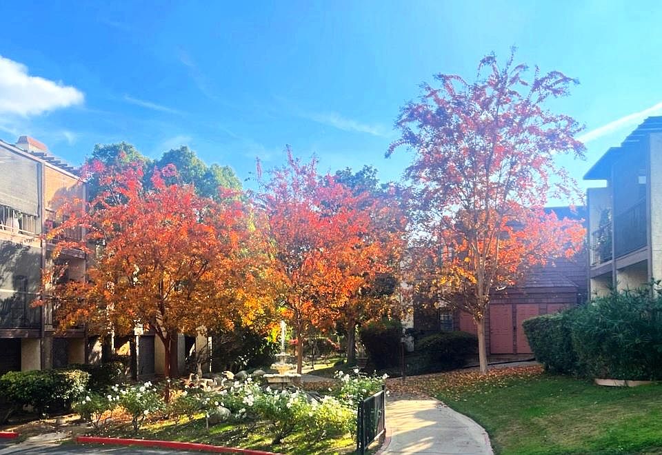 1st image of 2954 E Del Mar Blvd #112