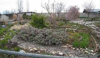 2nd image of 49003 N 116 Pr NW