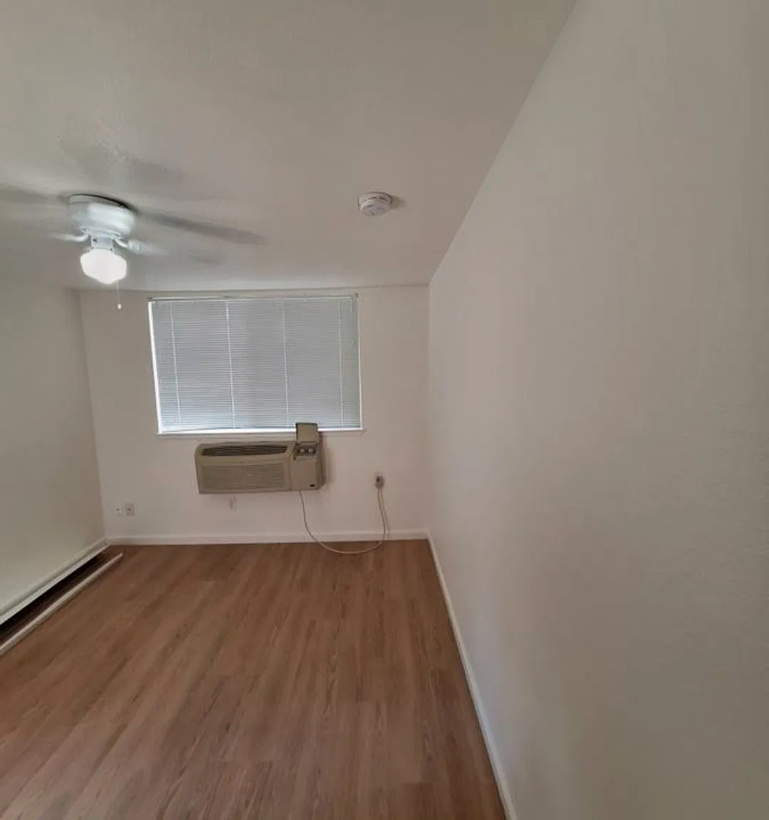 1 bed, 375 sqft, $1,500 — Photo 1