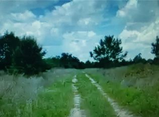 Lot D6 Palm Circle, Branford, GA 32008