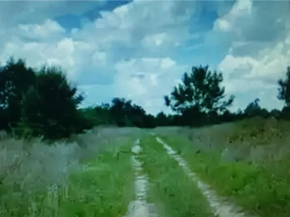 Lot D6 Palm Circle, Branford, GA 32008