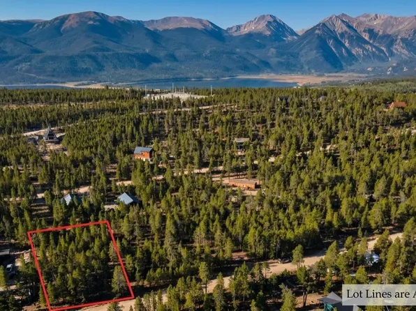 776 Birch Drive, Twin Lakes, CO 80461