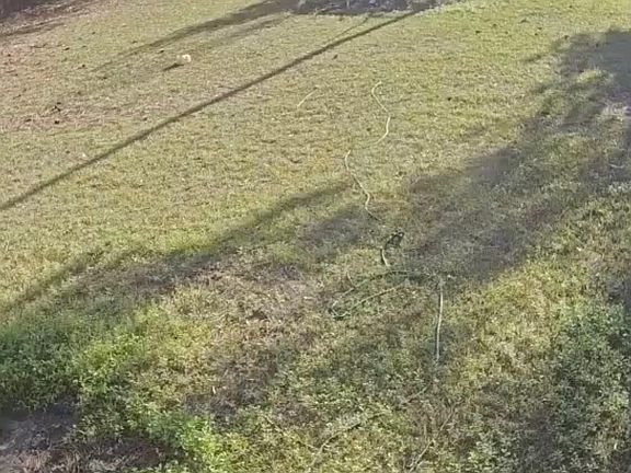 3rd image of 119 Golden Mack Rd