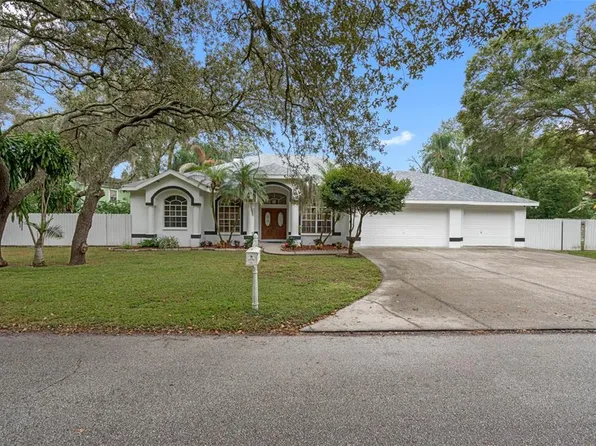 16121 W Lake Burrell Dr, Lutz, FL 33549