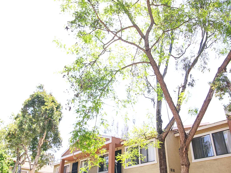 Creekside Villas Apartments — Photo 18