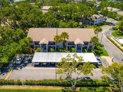 2188 Elm St APT 1107, Dunedin, FL, 34698
