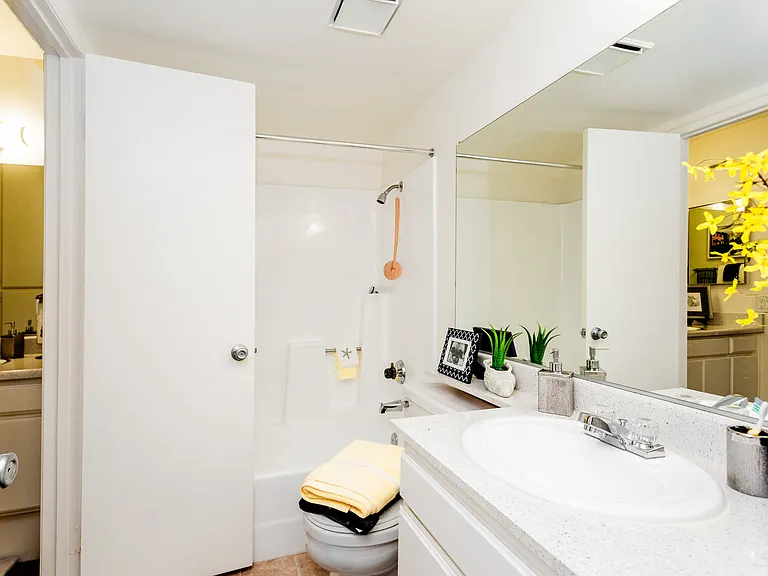Sunrise Apartments — Photo 11