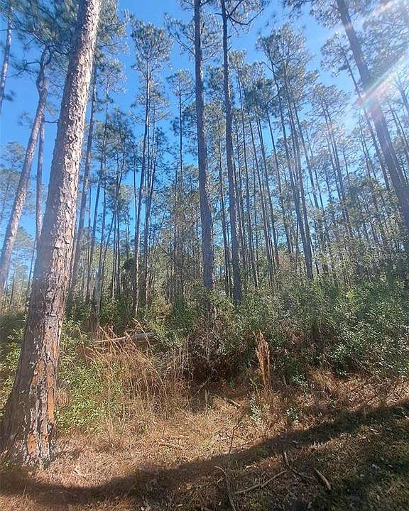 2nd image of 5146 LIME AVENUE LOT 12