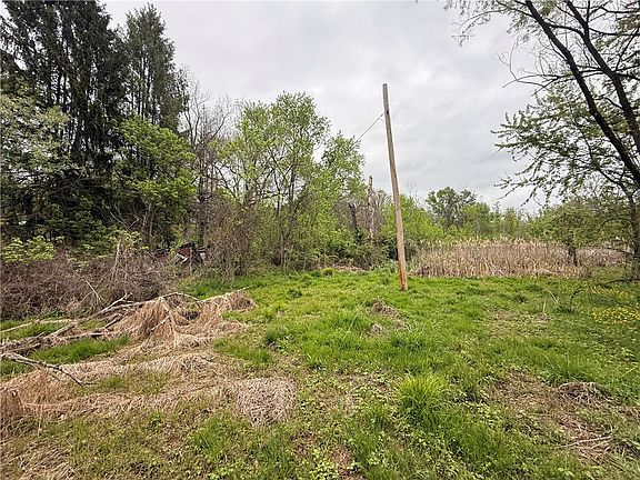 5th image of 130 Henry Rd
