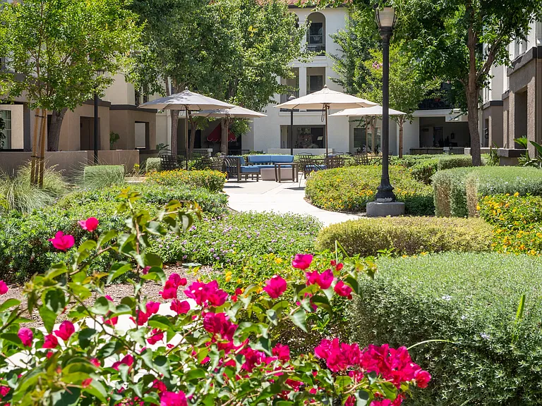 55+ Community - FountainGlen at Terra Vista — Photo 29
