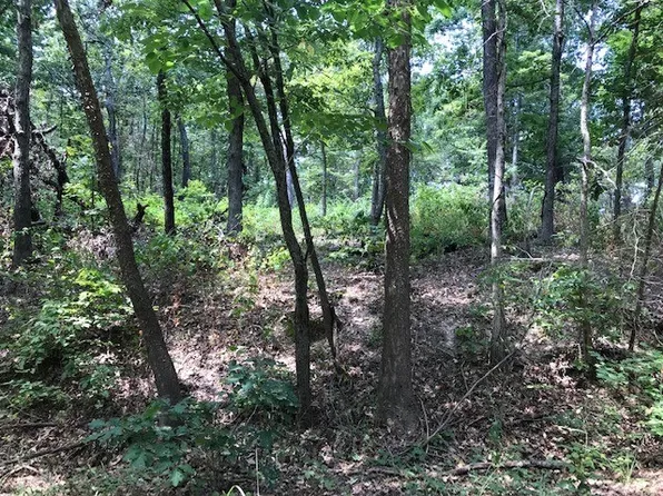 23 Armitage Dr #23, Bella Vista, AR 72715