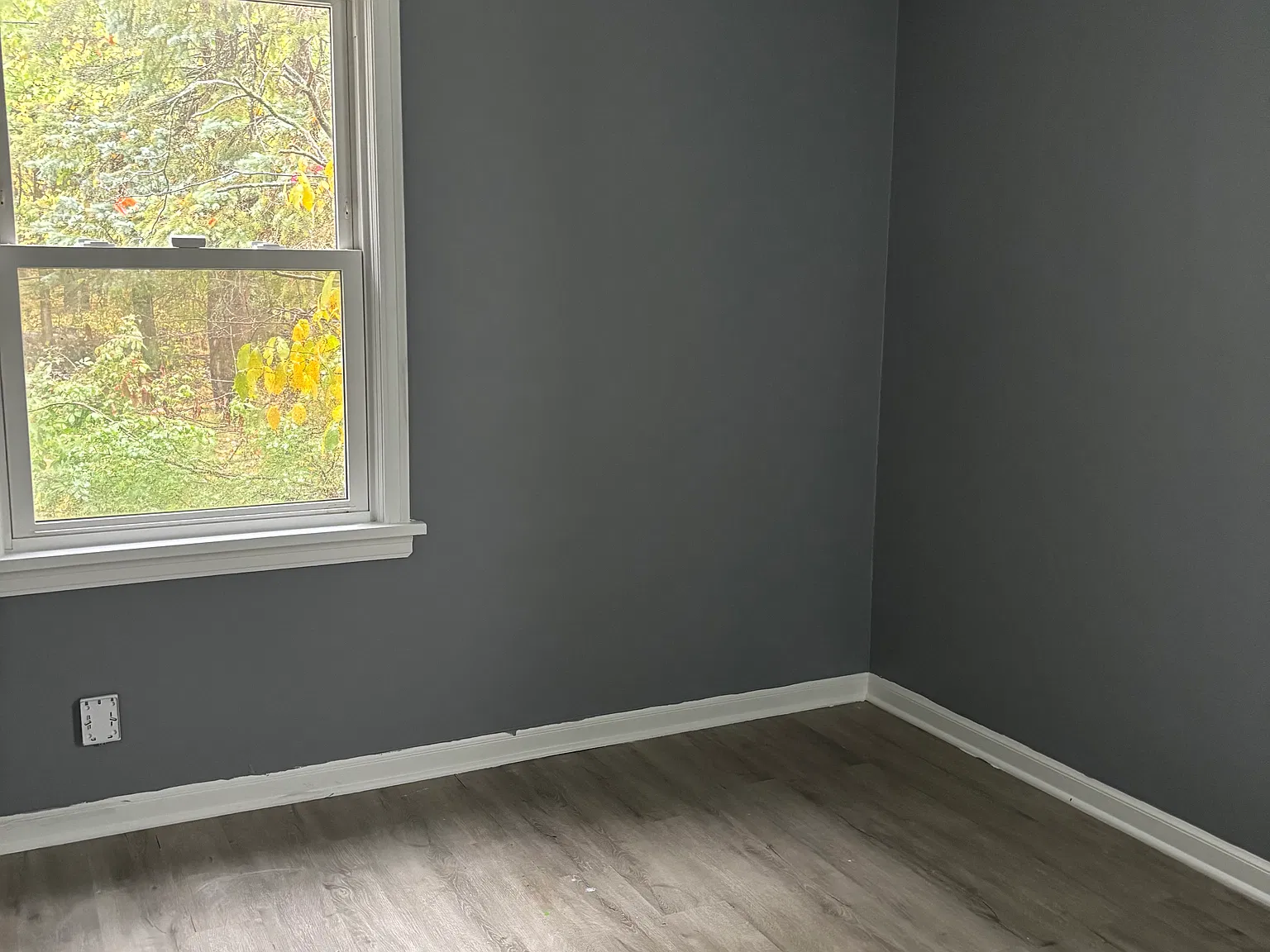 3 bed, 1113 sqft, $1,650 — Photo 2