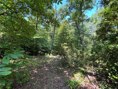 169 Liberty Hwy, Liberty, SC, 29657
