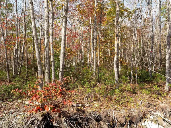 Morton Dr #62, Queens, NS B0T 1K0