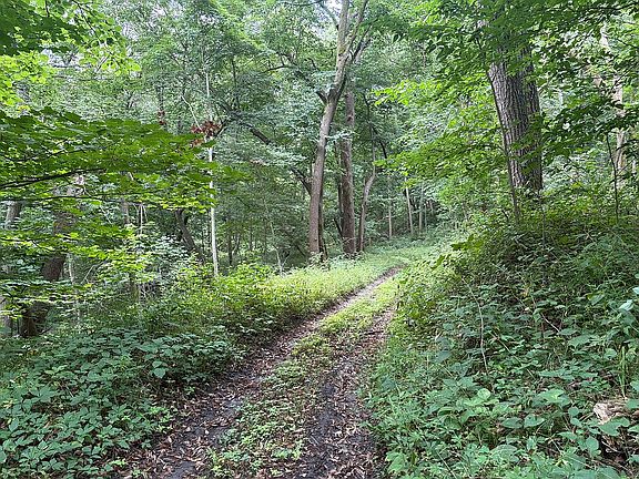 2nd image of 2686 Tunnel Mill Rd
