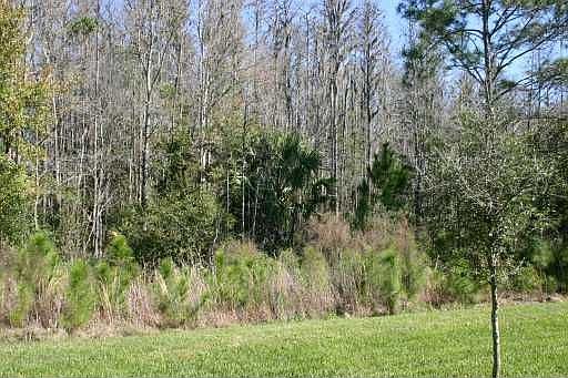 5th image of 3510 Chapel Creek Cir