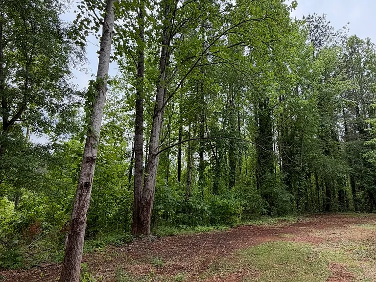 3637 Walhalla Hwy — Photo 12