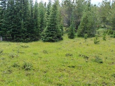 0 Fs 772.1 & Mosquito Creek Road, Black Hawk, CO, 80422