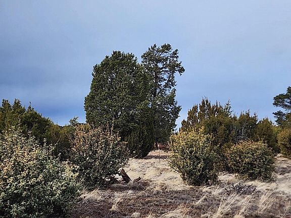 5th image of 26 County Road 8405