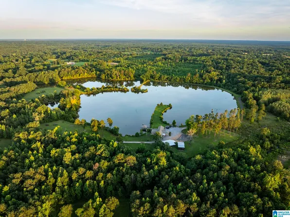 321 County Road 22 Lot 0, Livingston, AL 35470
