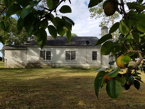 Fruit  trees behind house