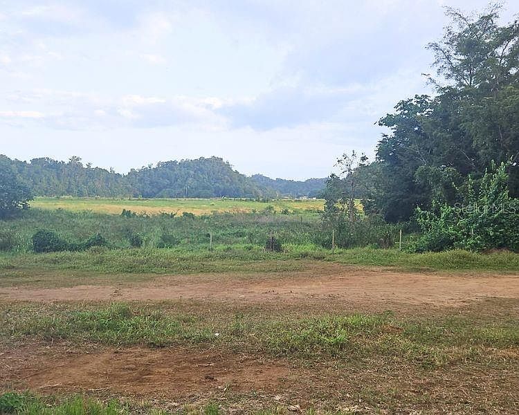 1st image of Bo Dominguito Sector
