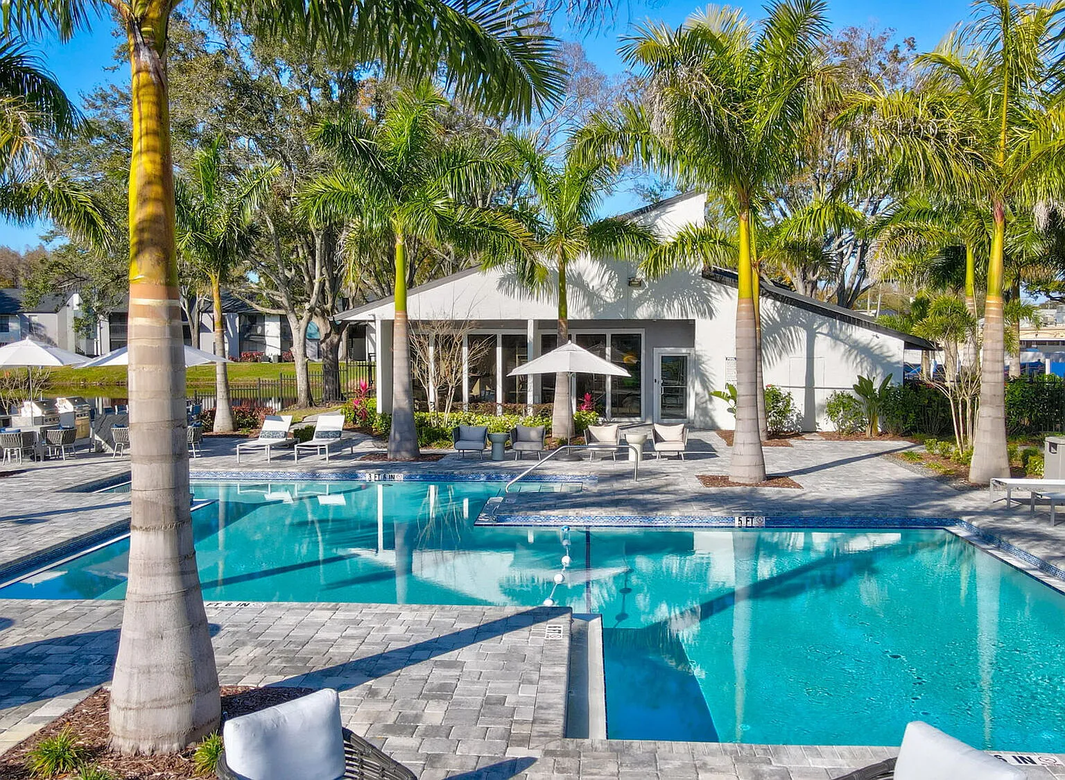 Avion at Carrollwood — Photo 1