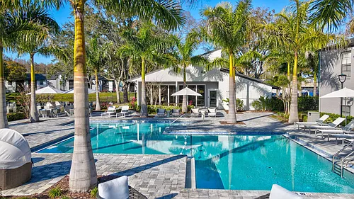 Avion at Carrollwood Photo 1