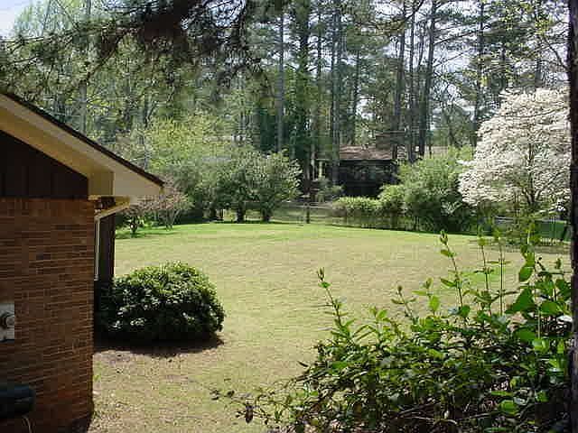 Backyard View