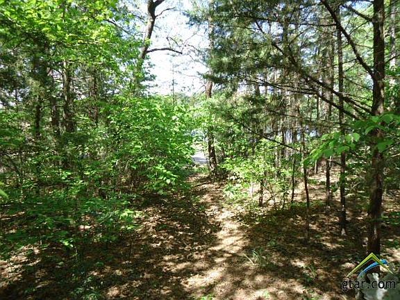 2nd image of 1025 Lake Franklin Dr